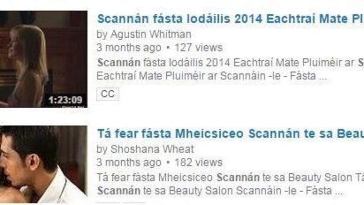 YouTube removes porn that was hidden using Irish language | Belfast
